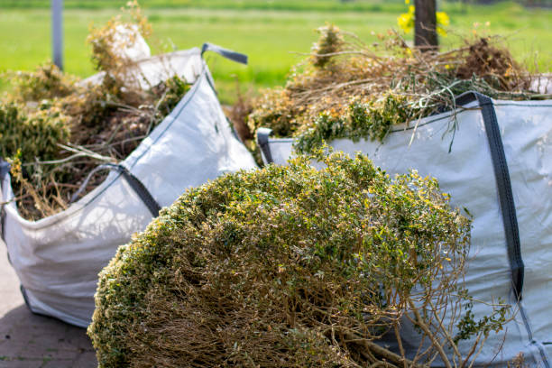 Basement Cleanout Services in Inez, TX